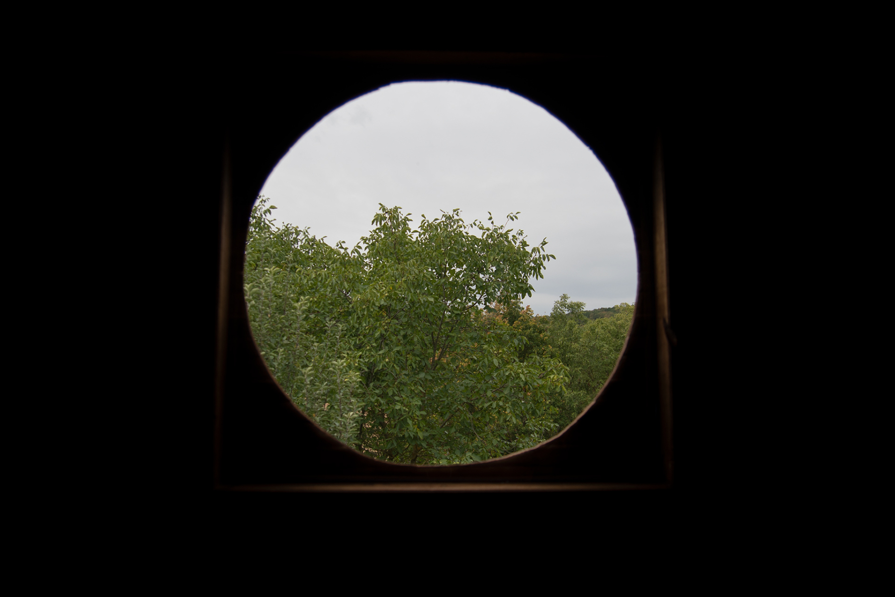 DSC_0176